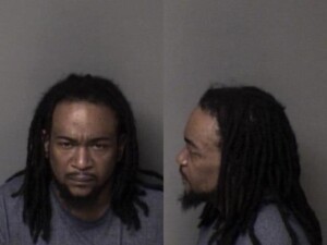 Terry Mitchell Awdwisi Assault Female