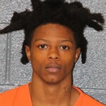Datavion Alexander Reckless Driving Driving While License Revoked