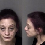 Jessica Rhea Possession Of Meth Possession Of Schedule Ii Controlled Substances Caryying Concealed Weapon