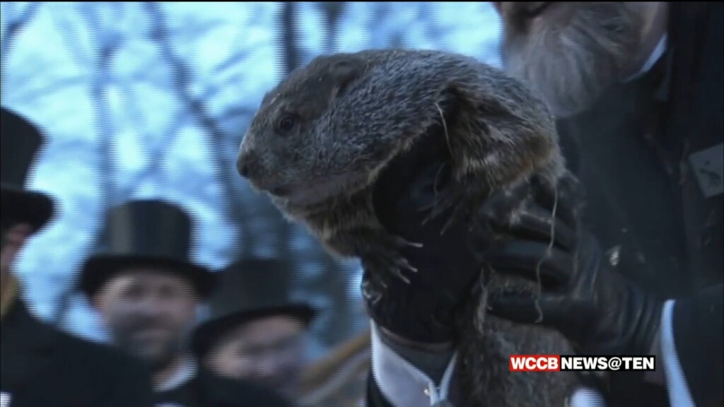 How Accurate Is Punxsutawney Phil?