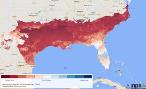 Leaf Index via www.usanpn.org