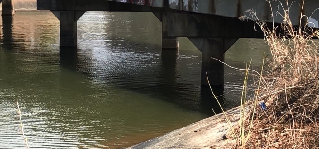 Car Found Submerged In Water