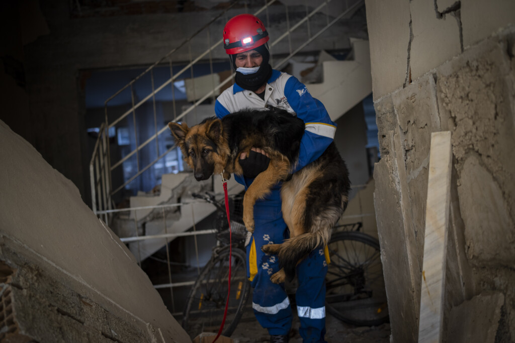 Aptopix Turkey Syria Earthquake Animal Rescues
