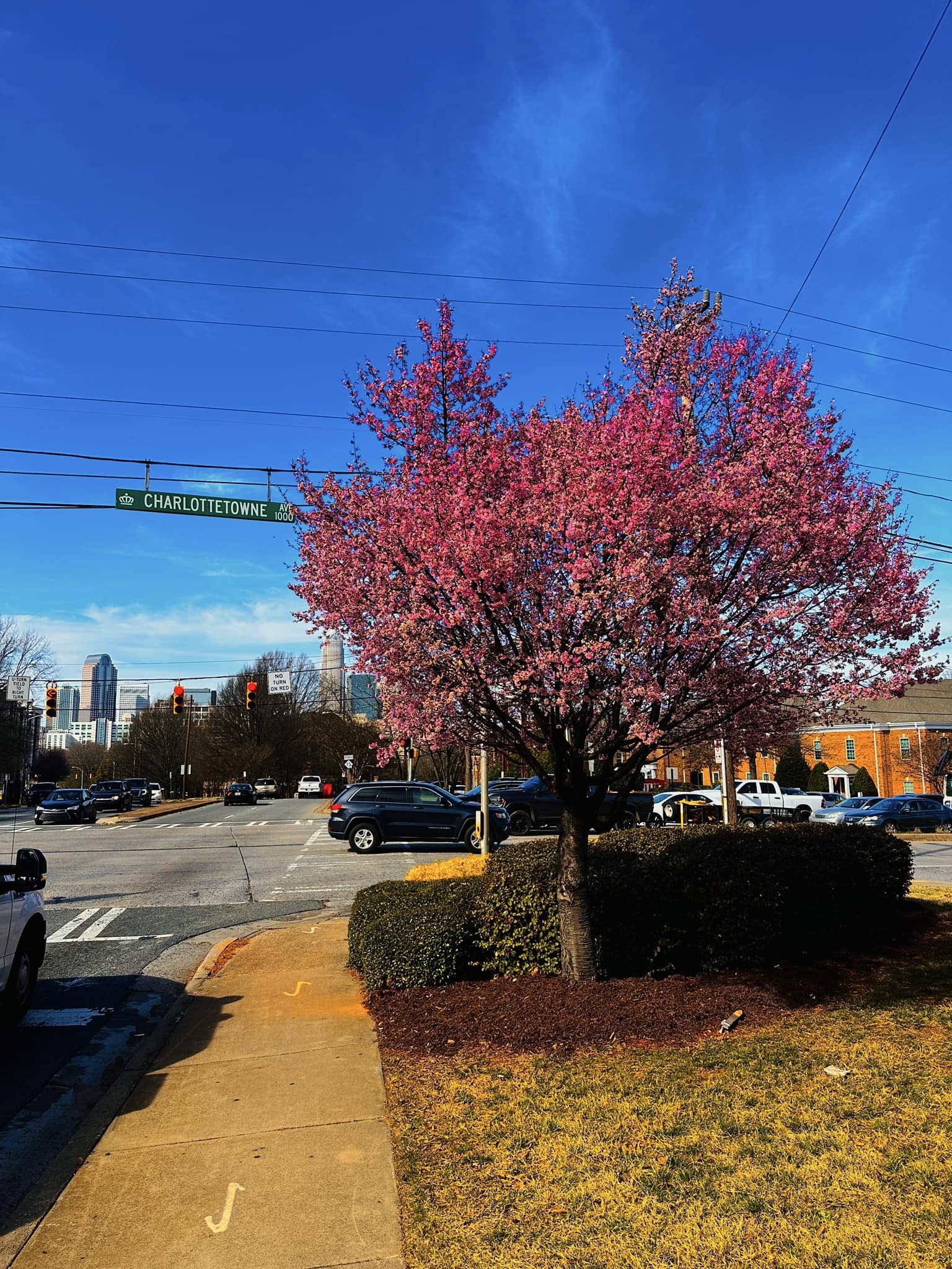 Photo by our James Scott - WCCB Charlotte's CW