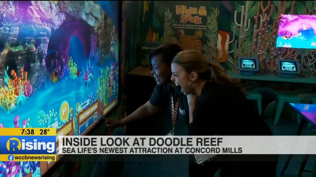 New Doodle Reef Exhibit At Sea Life Aquarium