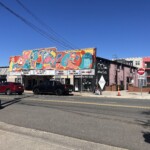 Img 0617