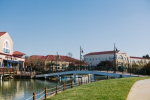 The Lake At Boardwalk