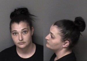 Kelly Hunter Hitrun Leave Scene Property Damage Dwlr Not Impaired Rev Registration Plate Card Expired Passing Unsafe Oncoming Traffic Inspection Violation
