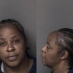 Adrienne Johnson Habeas Corpus