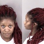 Mychaela Stewart Failure To Appear Misdemeanor Fictitious Info To Officer