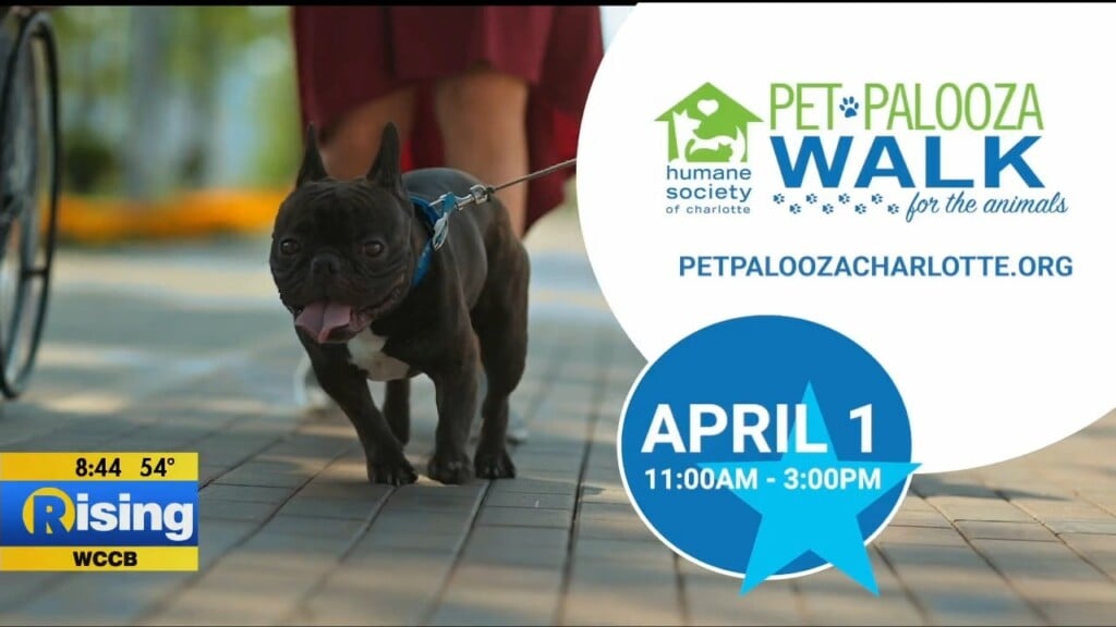 Rising Spotlight: Humane Society Of Charlotte 2023 Pet Palooza Walk