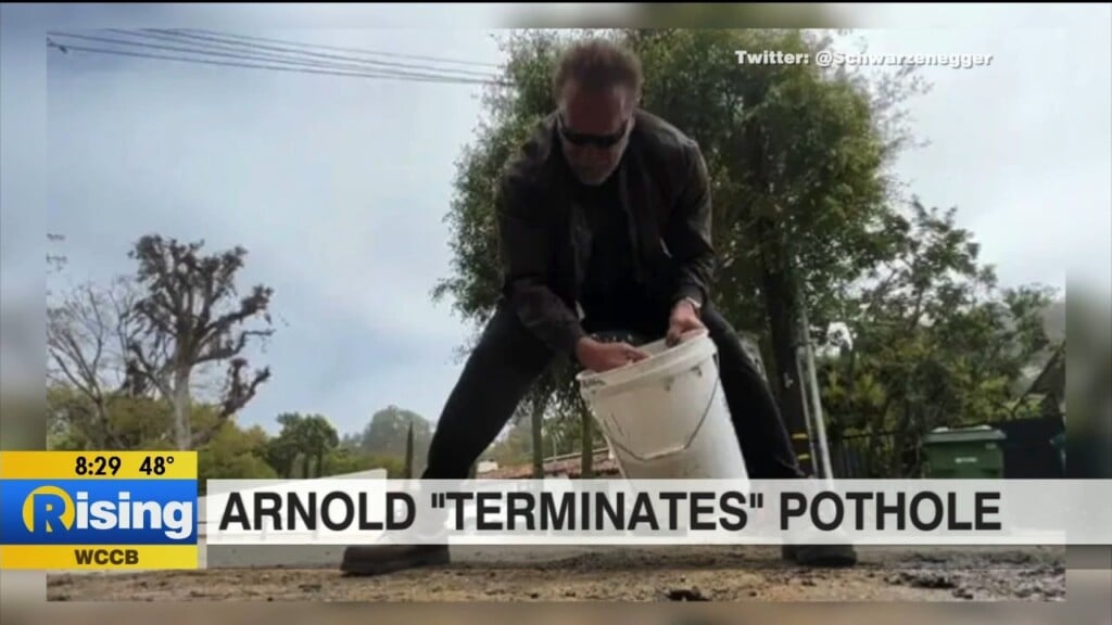 "talk, Truth, Tea": Arnold Schwarzenegger Terminates Pothole & Karl Lagerfeld Cat's Met Gala Invite