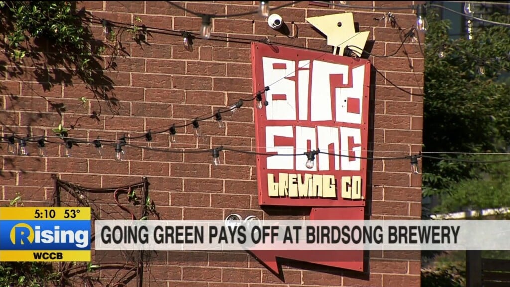 Birdsong Brewery Goes Green