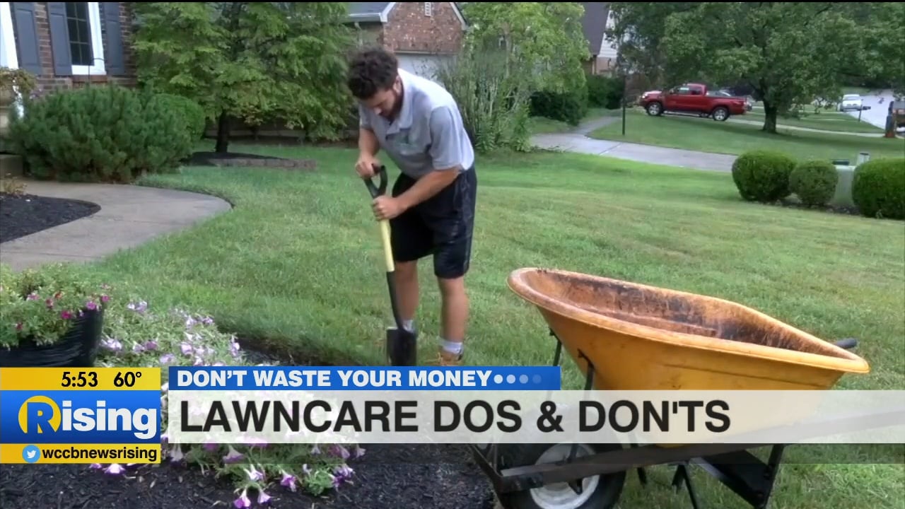 Don't Waste Your Money: Lawn Care Don'ts - WCCB Charlotte's CW