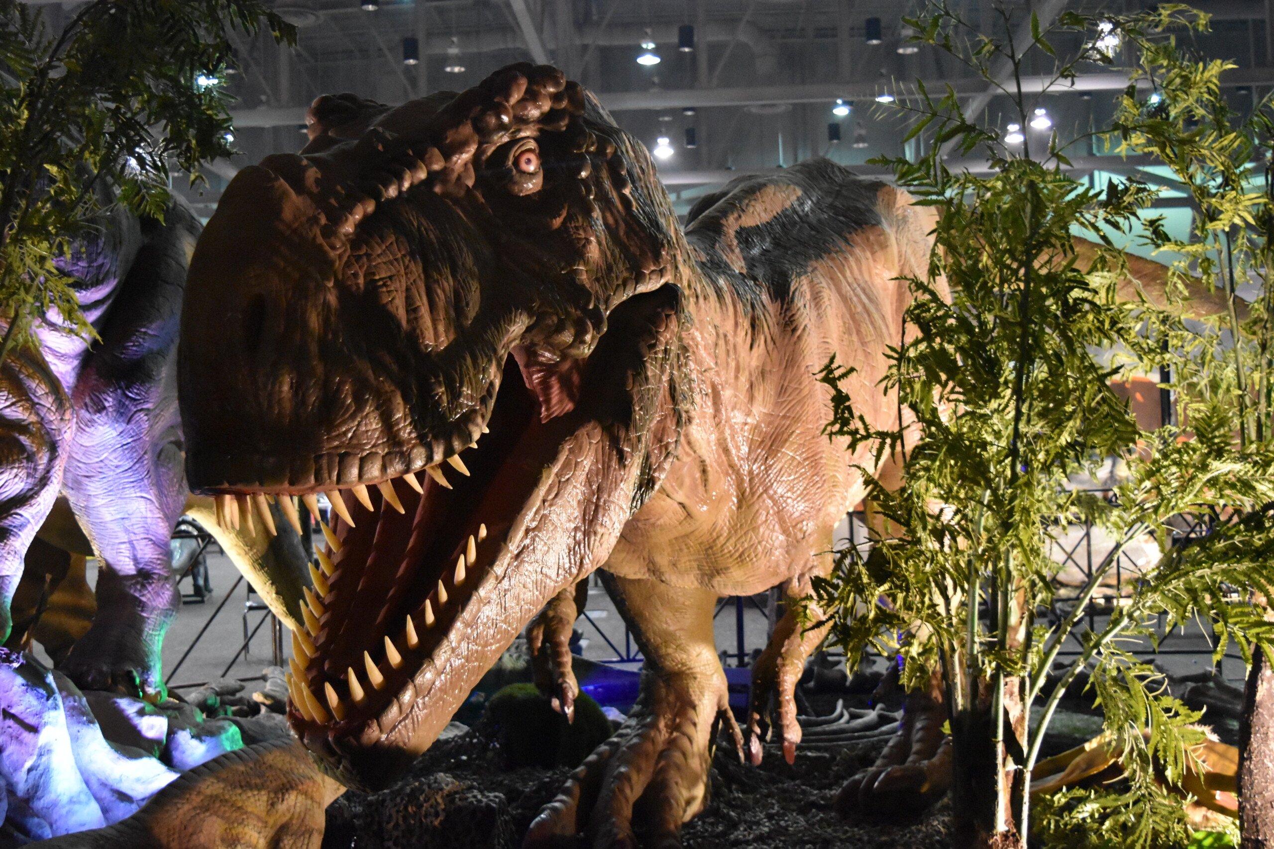 Dinosaurs Will Roam Into Charlotte Over The Weekend WCCB Charlotte's CW