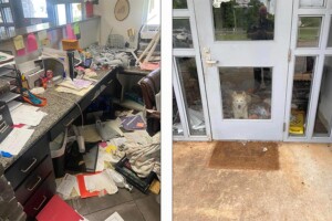 Titan Animal Shelter Feature Image