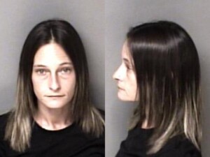 Ida Parker Breaking And Entering Larceny Obtain Property By False Pretense