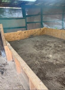 Cockfighting Pic 2