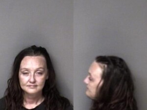 Janna Brown Possession Of Schedule Ii Controlled Substances Possession Of Controlled Substances In Jail Possession Of Drug Paraphernalia