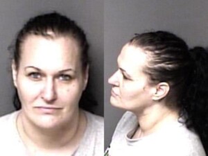 Rachel Causby Possession Stolen Property Motor Vehicle Larceny Driving While License Revoked
