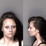 Jennifer Eaves Possession Of Meth Possession Of Heroin Possession Of Controlled Substances Resist Public Officer
