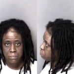 Portia Patterson Hitrun Leave Scene Property Damage No License