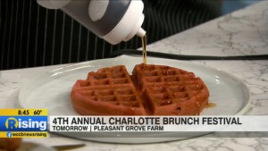 Charlotte Brunch Festival