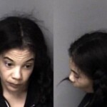 Brandy Brown Failure To Appear In Court Resist Public Officer