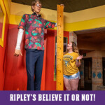 Ripleys Believe It Or Not