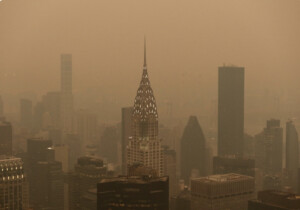 Wildfires In New York