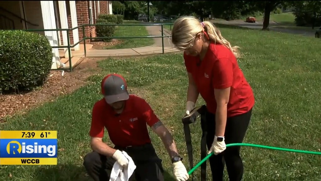Do My Job: Drain