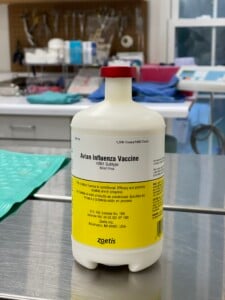 1 Zoetis Avian Influenza Vaccine