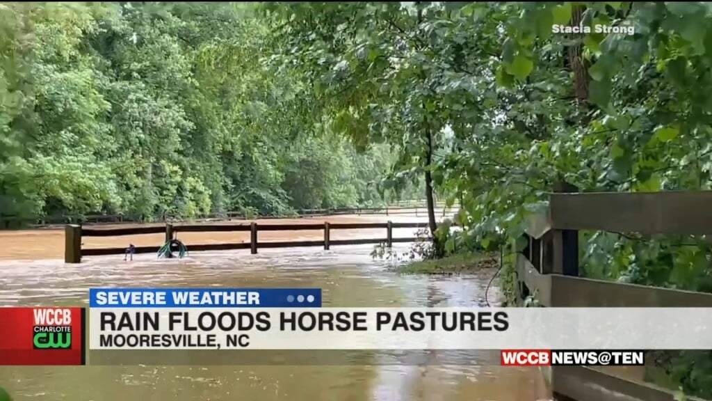 Flooded Horse Pastures
