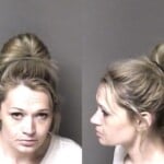 Jessica Bibson Larceny Habitual Larceny Removal Of Anti Theft Device