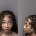 Sierra Strickland Assault Simple