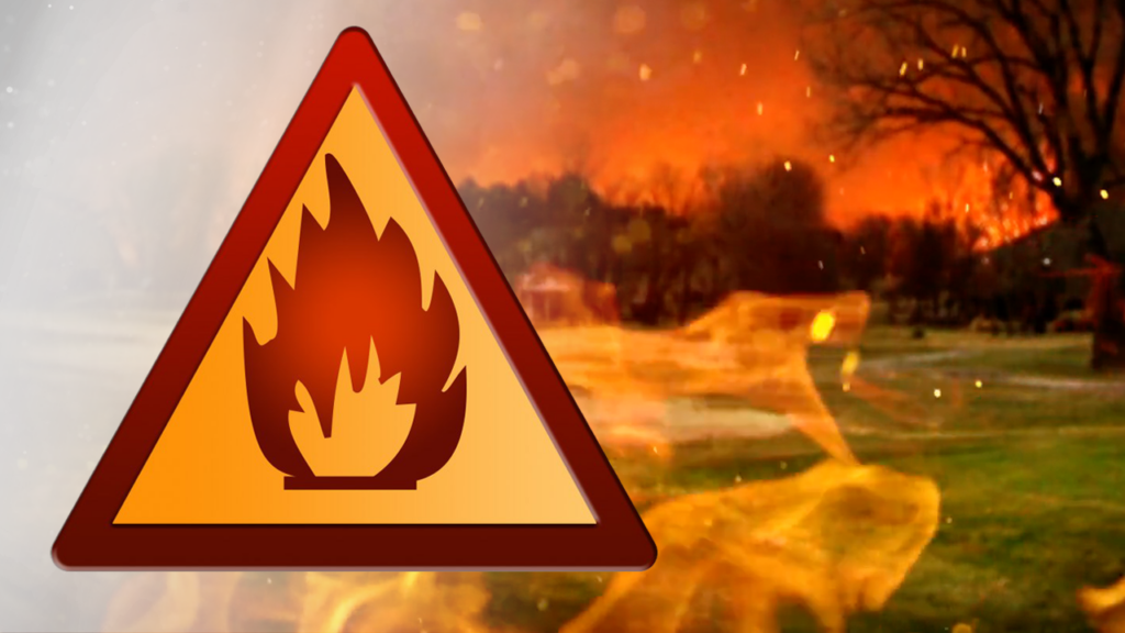 Fire Danger Forest Fire