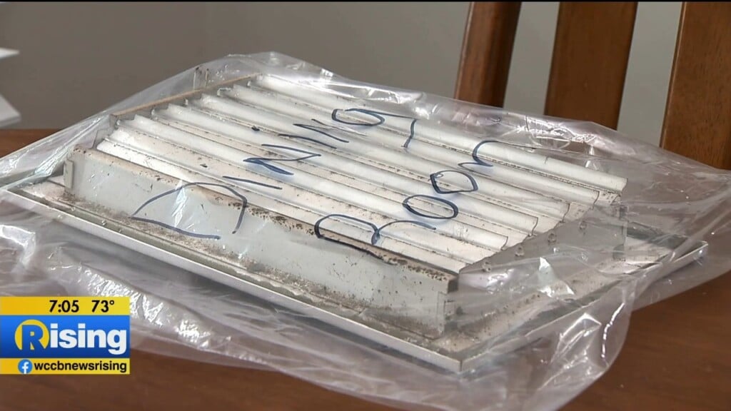 Renter's Rights: What To Know If You're Dealing With Mold