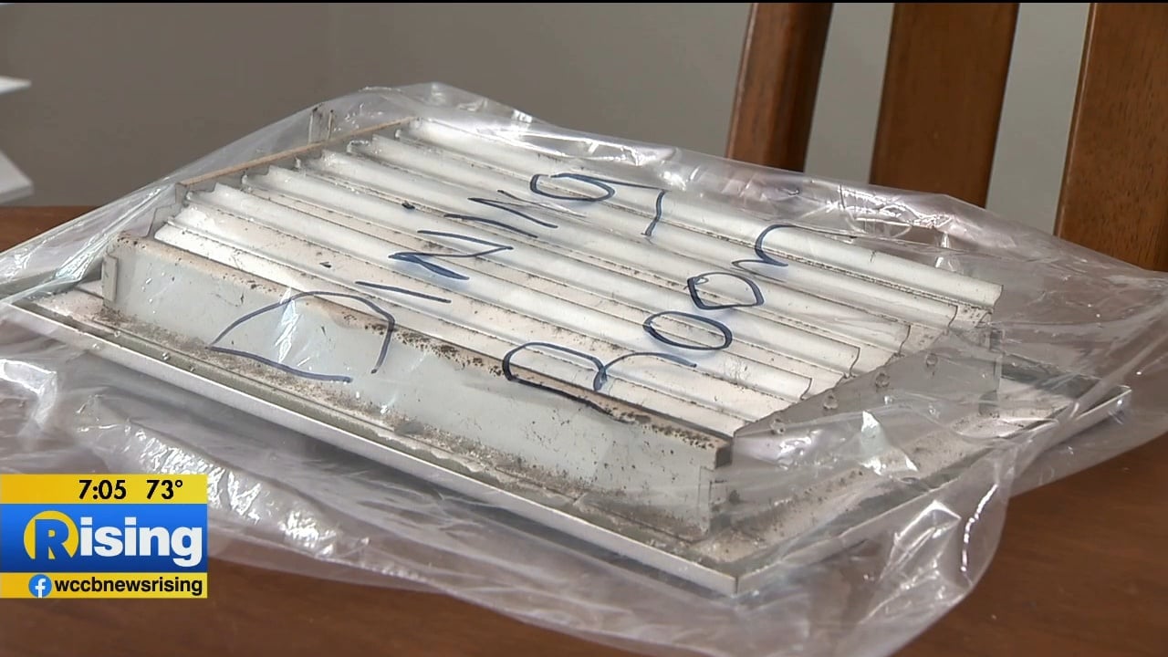 Renter's Rights What To Know If You're Dealing With Mold WCCB