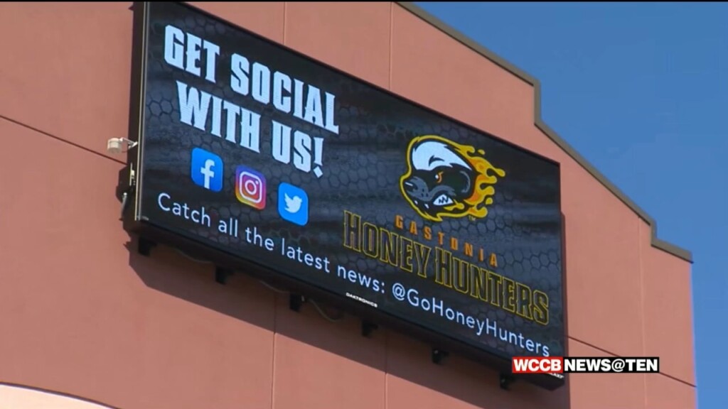 Honey Hunters Baseball Team