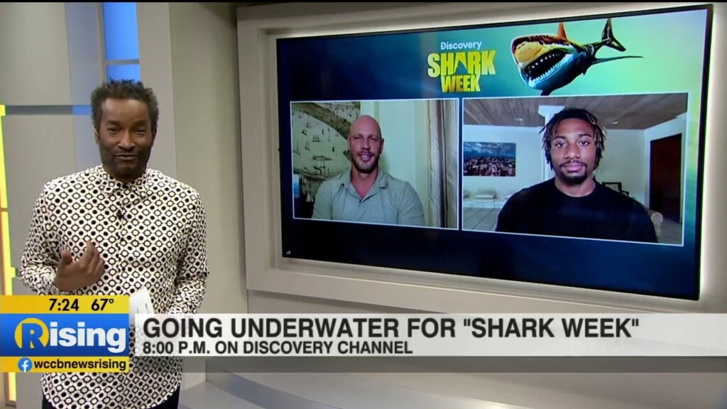 The Premiere Of "shark Week"