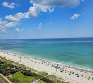 South Carolina: Dead shark washes up on Myrtle Beach