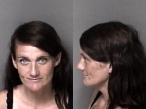 Brooke Gaines Second Degree Trespass