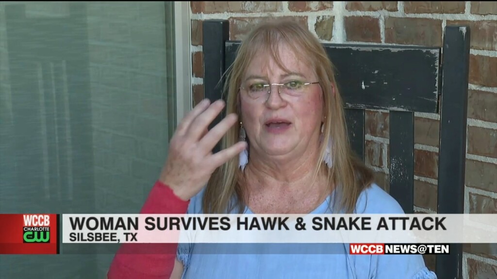 Woman Survives Hawk And Snake Attack