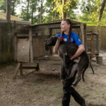 Nc Dogfighting Rescue