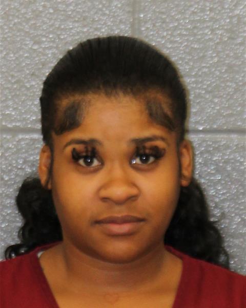 Kyisha Whitehead – Driving While Impaired – Resisting Public Officer ...