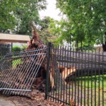 Hickory Storm Damage Pic 2