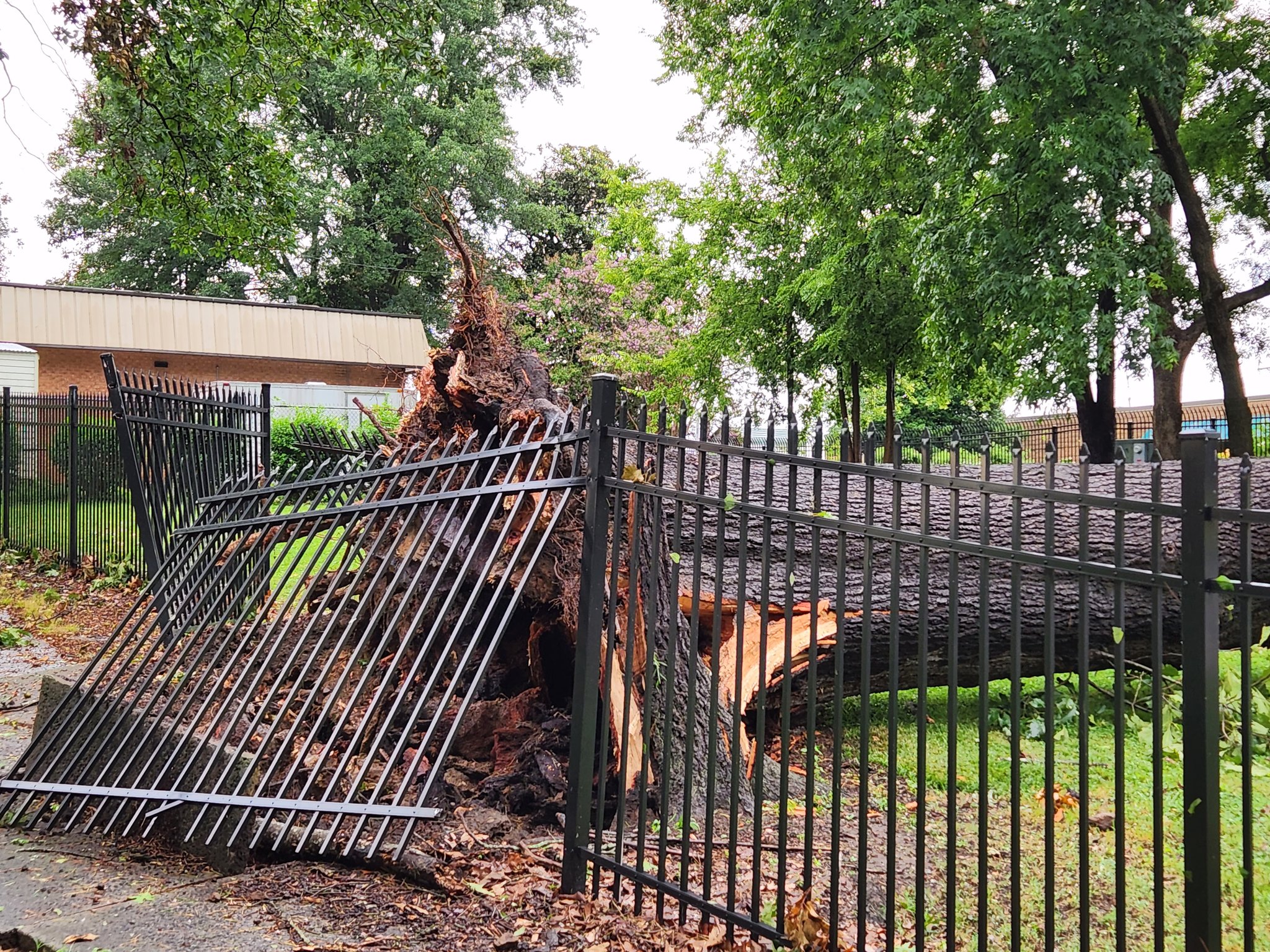 Hickory Storm Damage Pic 2 WCCB Charlotte's CW