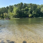 Swimmersearch1