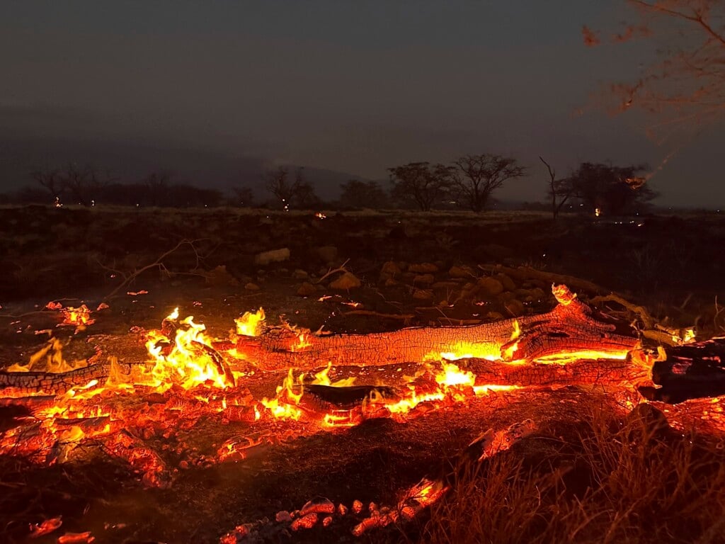 Aptopix Hawaii Fires