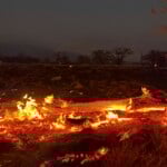 Aptopix Hawaii Fires